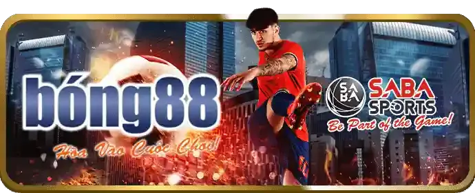 Hướng dẫn người mới bắt đầu cá cược tại GOD66 nhà cái